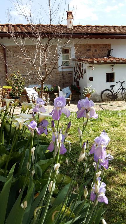 Il Colle Calci Vila Exterior foto
