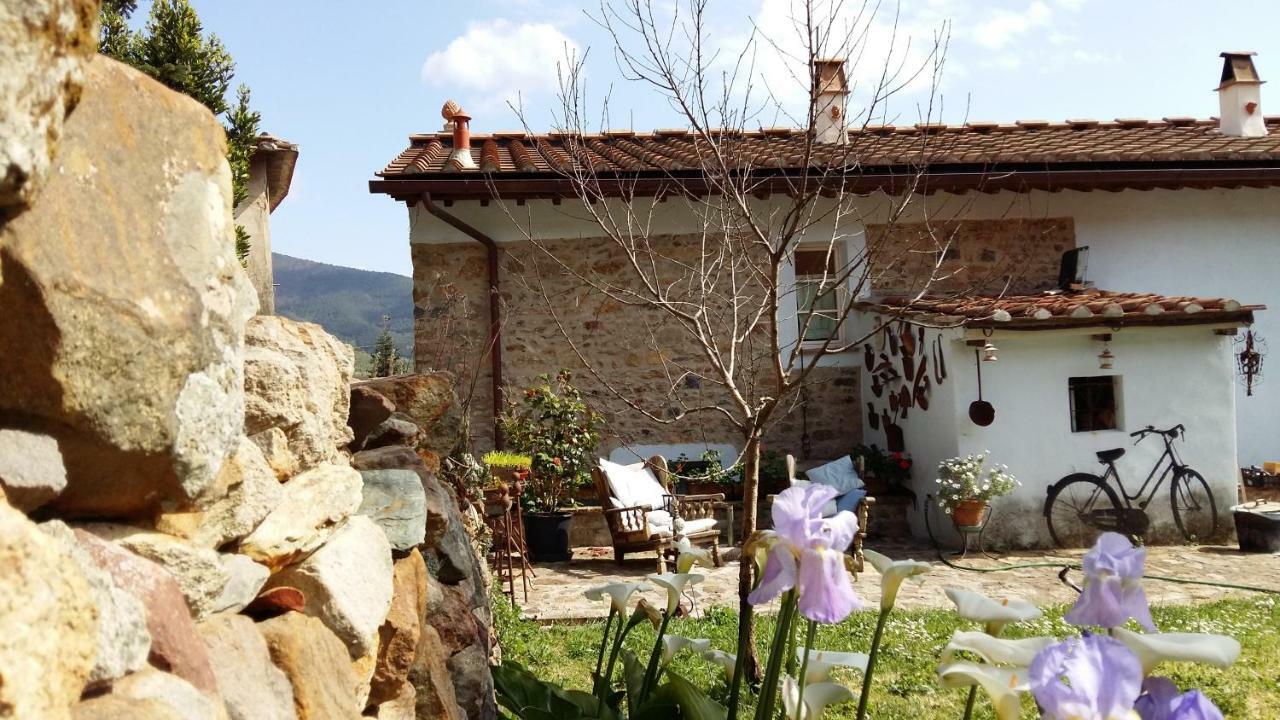 Il Colle Calci Vila Exterior foto